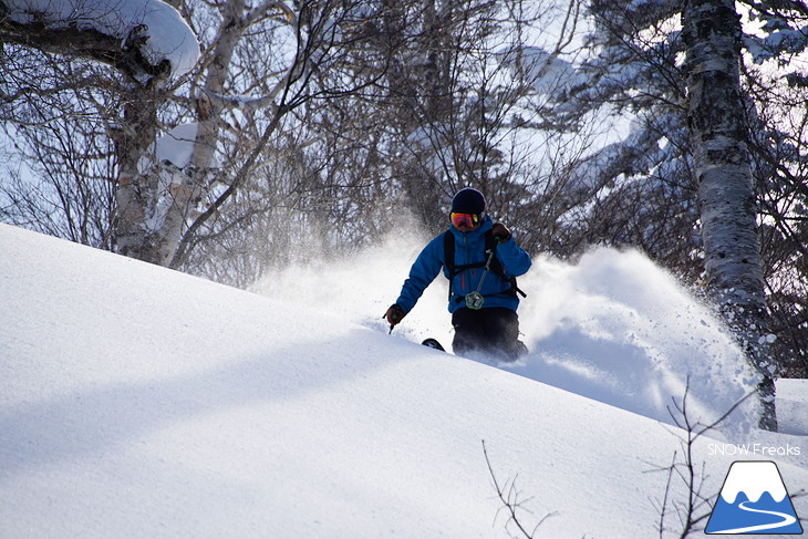 札幌国際スキー場 Welcome back POWDER SNOW !! ～パウダースノー復活～